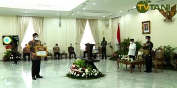 Plt Bupati Bintan saat menerima penghargaan dari Wakil Presiden RI, Maruf Amin, f : ist