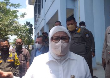 Wakil Gubernur Kepri, Marlin Agustina, f : Mael/detak.media