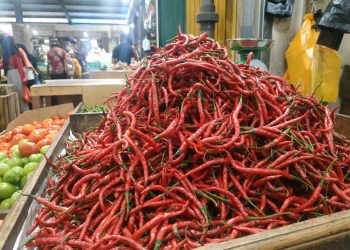 Cabai merah yang mengalami kenaikan sangat drastis, f : Mael/detak.media