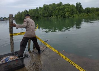 Petugas kepolisian saat mengevakuasi mayat tanpa identitas yang mengapung di sungai Jalan Salam Tanjungpinang, f : Mael/detak.media