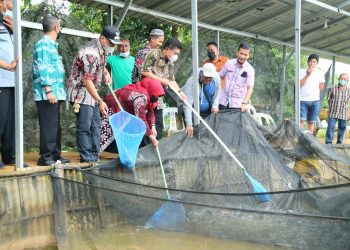 Walikota Tanjungpinang, Rahma saat panen lele, f : ist
