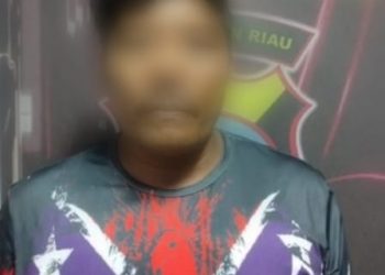 Pelaku pencabulan terhadap anak dibawah umur, Udin, f : ist