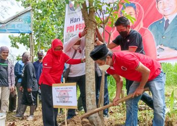 Anggota DPR-RI, Sri Rahayu (kiri, hijab) saat menanam pohon pule, f : Dani ES/detak.media