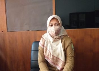 Kepala Bidang (Kabid) Tata Ruang PUPR Tanjungpinang, Rina Rezeki, f : mael/detak.media