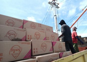 Pekerja saat memindahkan kardusan minyak dari Kapal ke Lori pengangkut, f : mael/detak.media