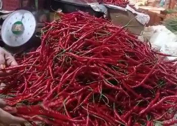 Cabai merah, f : mael/detak.media