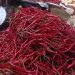 Cabai merah, f : mael/detak.media