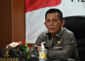 Gubernur Kepri, Ansar Ahmad, foto : ist