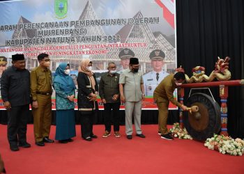 Gubernur Kepri saat memukul gong tanda dibukanya Musrenbang Kabupaten Natuna, foto : ist