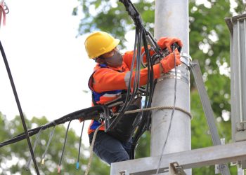Petugas PLN melakukan perawatan jaringan, foto : ist