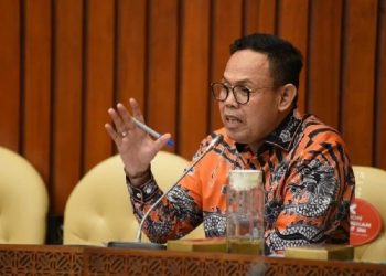Anggota Komisi IV DPR, Andi Akmal Pasluddin.ANTARA/HO-DPR.