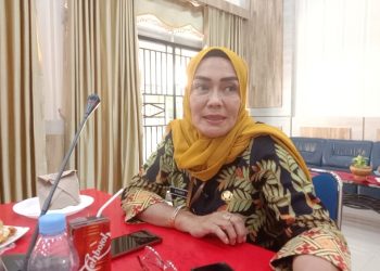 Kepala Dinas Perdagangan dan Perindustrian (Disperdagin) Kota Tanjungpinang, Riany, foto : Mael/detaK.media