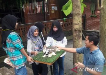 Sejumlah anak bermain di Taman Kelinci Desa Bahasa Borobudur sambil praktik belajar bahasa Inggris. ANTARA/Heru Suyitno