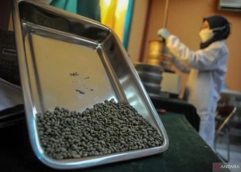 Petugas mengayak biji kopi yang berasal dari Gunung Manglayang saat pengujian kualitas di UPTD Balai Pengujian dan Sertifikasi Mutu Barang Agro Dinas Perindustrian dan Perdagangan Jabar, Cinunuk, Kabupaten Bandung, Jawa Barat, Jumat (10/6/2022). ANTARA FOTO/Raisan Al Farisi/nym.