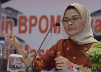 Kepala BPOM Penny K. Lukito. (ANTARA FOTO/Fikri Yusuf/hp)