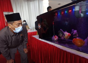 Caption: Ketua DPRD Kota Blitar, dr. Syahrul Alim melihat ikan hias yang di pamerkan di Blitar Square, foto : Dani ES/detak.media