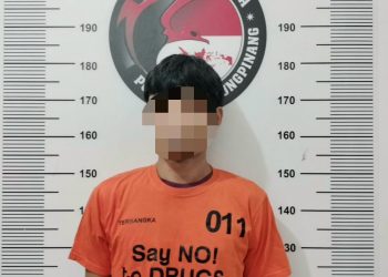 Pelaku DS usai Diamankan Satnarkoba Polresta Tanjungpinang, foto : Ist
