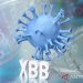 Ilustrasi - Varian virus covid xbb. ANTARA/Shutterstock/pri.