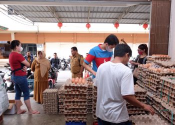 Walikota Tanjungpinang, Rahma saat meninjau salah satu Distributor di Tanjungpinang, foto: ist