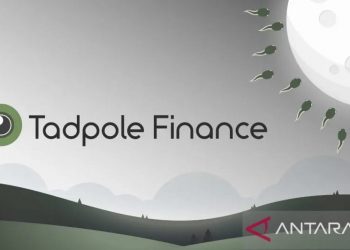 Tadpole Finance (TAD), sebuah proyek blockchain yang bergerak di bidang decentralized finance (DeFi). ANTARA/HO-Tadpole Finance.
