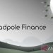 Tadpole Finance (TAD), sebuah proyek blockchain yang bergerak di bidang decentralized finance (DeFi). ANTARA/HO-Tadpole Finance.