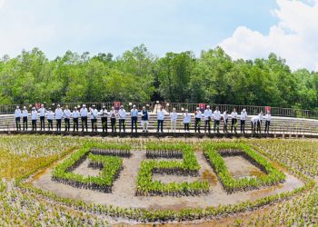 Presiden ajak pemimpin G20 ke Tahura Ngurah Rai, Bali, Rabu (16/11/2022). (Foto: BPMI Setpres)