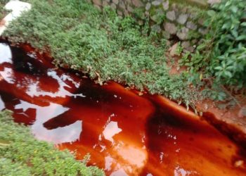 Limbah PT Panca Rasa Pratama yang mencemari parit perumahan warga, foto: ist