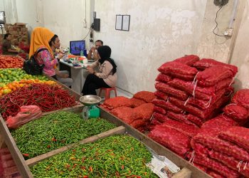 Kadis Disdagin Tanjungpinang saat Meninjau Harga Bahan Pokok di Pasar Baru, foto : ist