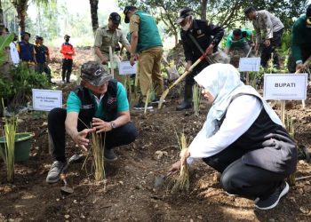 Bupati Blitar Rini Syarifah, saat menanam bibit pohon penguat tanah di Desa Binangun, foto: Dani ES/detak.media