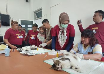 Walikota Blitar Santoso, saat melihat pengebirian kucing di Puskeswan Dimor, foto:  Dani ES/detak.media