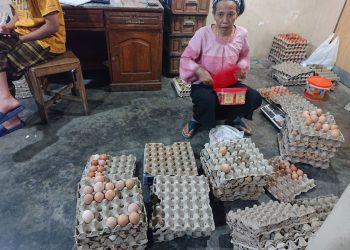 Distributor telur dari Kelurahan Tawangsari, Kecamatan Garum, Kabupaten Blitar, Srimah, foto: Dani ES/ detak.media