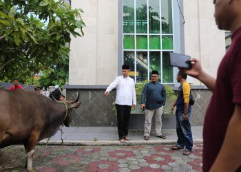 Sekdako Tanjungpinang, Zulhidayat, secara simbolis menyerahkan sapi kurban ASN Pemko, foto: ist/doc.prokompim/detak.media