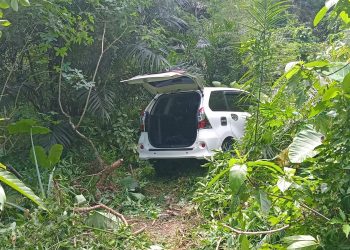 Mobil Avanza Putih BP 1363 TS usai Mengalami Kecelakaan Tunggal, foto: ist