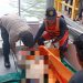 Tim Sar saat Mengevakuasi Korban Pompong Tenggelam yang ditemukan Meninggal, foto: ist