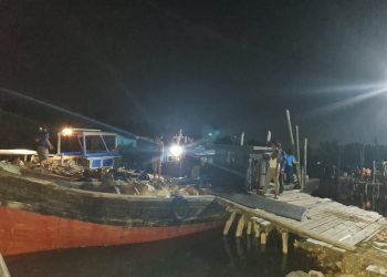 51 Ekor sapi dan kambing Tanpa Dokumen Lengkap di Bintan Dikembalikan ke Pelalawan Riau, foto: Ist