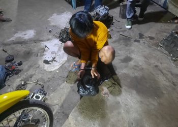 Pelaku MF usai Diamankan Satreskrim Polsek Tanjungpinang Timur, foto: ist