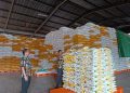 Stok Beras di Gudang Bulog Tanjungpinang, foto: Mael/detak.media