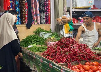 Satu Diantara Pedagang Cabai di Pasar Bintan Center Tanjungpinang, foto: Mael/detak.media