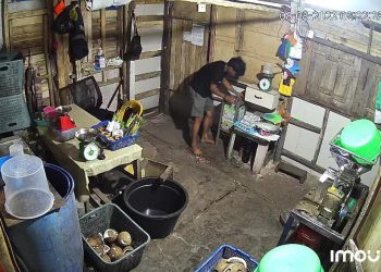 Rekaman CCTV Aksi Pelaku saat Mencuri Kotak Infak di sebuah Warung Jalan Sei Payung Tanjungpinang, foto: Mael/detak.media