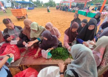 Hasan saat Meninjau Stand Pasar Murah di Kampung Sidomulyo, foto: Mael/detak.media