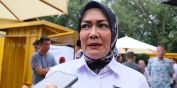 Kepala Dinas Perdagangan dan Perindustrian (Disperdagin), Riany, foto: Mael/detak.media