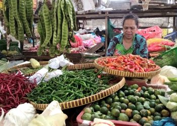 Tiurika, Salah Satu Pedagang Cabai Pasar Bintan Center, foto: Mael/detak.media