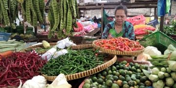 Tiurika, Salah Satu Pedagang Cabai Pasar Bintan Center, foto: Mael/detak.media