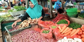 Harga Bawang di Pasar Bintan Center Tanjungpinang Mengalami Kenaikan, foto: Mael/detak.media