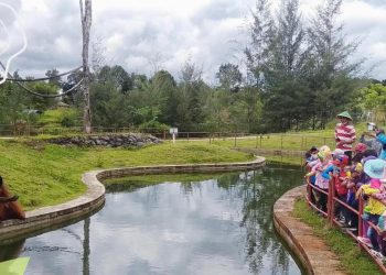 Wisatawan saat Mengunjungi Taman Safari Lagoi di Kabupaten Bintan, Provinsi Kepri, foto: instagram/@safarilagoibintanindonesia