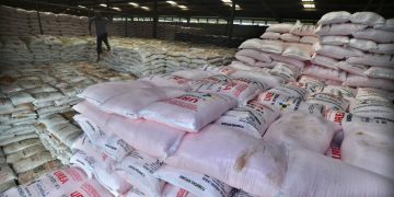 Foto: Ilustrasi pupuk subsidi