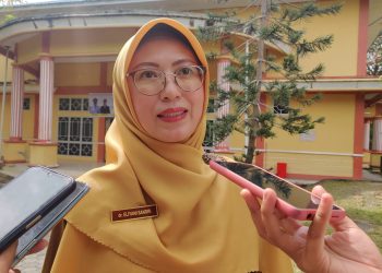 Kepala Dinas Kesehatan (Dinkes) Tanjungpinang, Elfiani Sandri, foto: Mael/detak.media