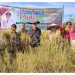 Bupati Natuna, Wan Siswandi saat ikut panen raya padi di desa Payak, Kecamatan Serasan Timur (foto : Diskon)