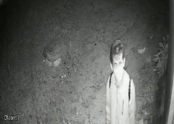 Wajah Pelaku Pembobolan Cafe Orang Roemah di Tanjungpinang yang Terekam CCTV, foto: dok/detak.media