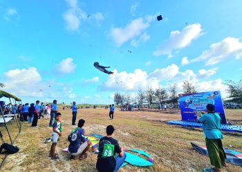Beragam layang-ayang hiasi langit Natuna dalam festival HUT ke 78 TNI AU (foto : Lanud RSA)